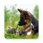 Logo of Cat & Dog Sounds – Pet sounds android Application 